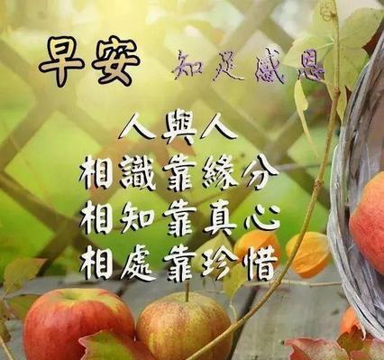 暖心早安问候语，温暖你我的心（25句唯美短句）