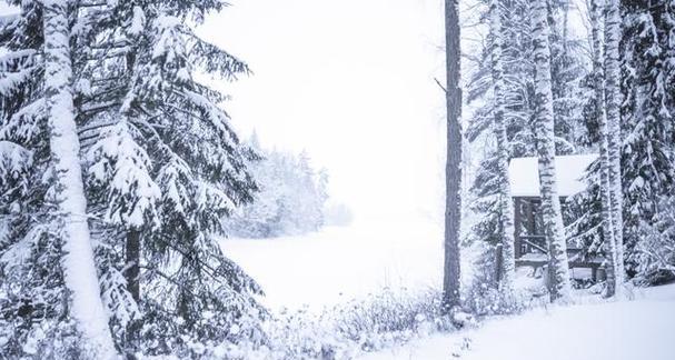 雪精灵的冒险之旅（白雪覆盖的王国）