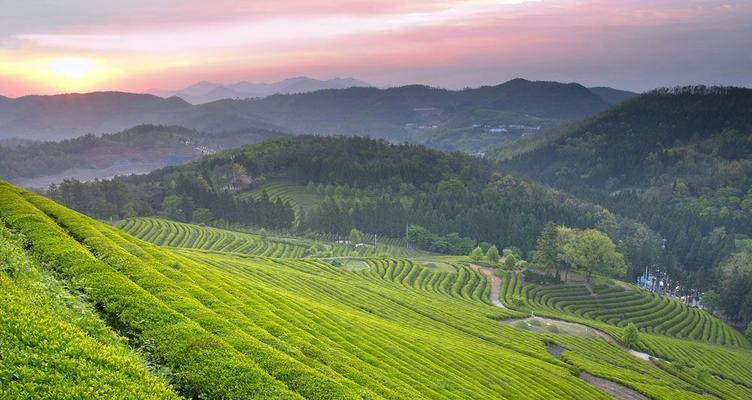 春天来临，生机勃勃（开启一个新的篇章）