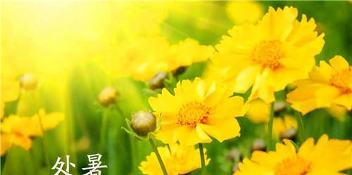 祝福随虫鸣，芳香荡长夏——以2024处暑时节祝福语句子说说为主题的短句（用唯美短句祝福）