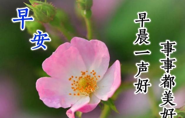 温馨、感动、梦幻（温馨）