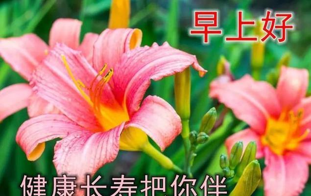 七月好祝福语，唯美短句送你暖心祝福（用最新祝福语）