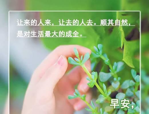 早安问候：掌声送给每一个勇敢追梦的人