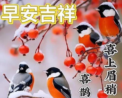 时光流转，祝福永驻——以2024冬至朋友圈祝福语句子为主题的唯美短句（用心祝福）