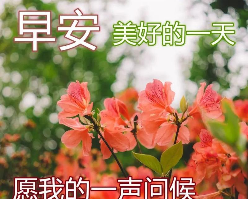 立夏时光（感受大自然的生机和力量）