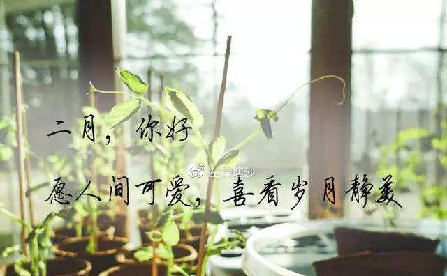 《未来的我们，彼此重逢》