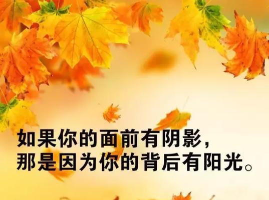 《阳光之舞》——用正能量唤醒你的内心力量