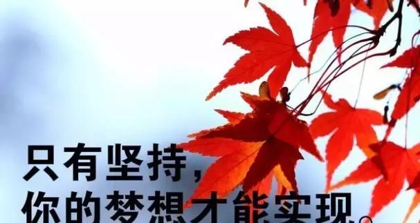 正能量经典好句摘抄（用25个唯美短句感受生命的力量）