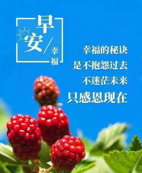 清晨的颂歌——以早上发抖音的心情说说（唯美短句）