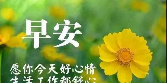 清晨的芬芳（每一天的开始都是一份礼物）