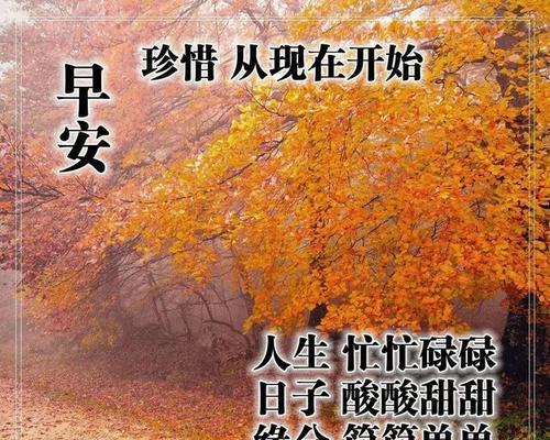 晨曦绽放，暖心启程（2024最新早安暖心话）