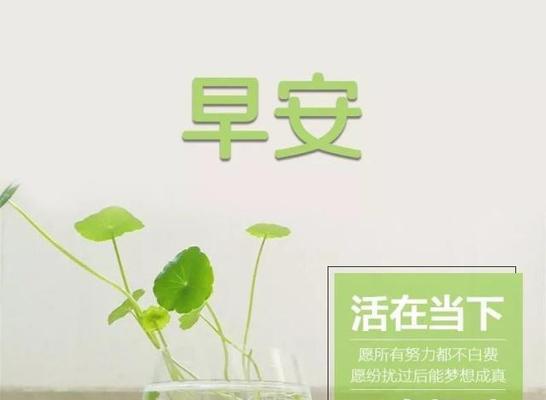 清晨的芬芳（以早安励志简单句子说说心情）