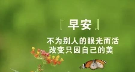 点亮生命，寄托希望（点亮生命）