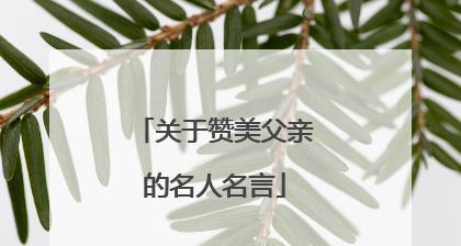 父爱如山：赞美父亲的名言