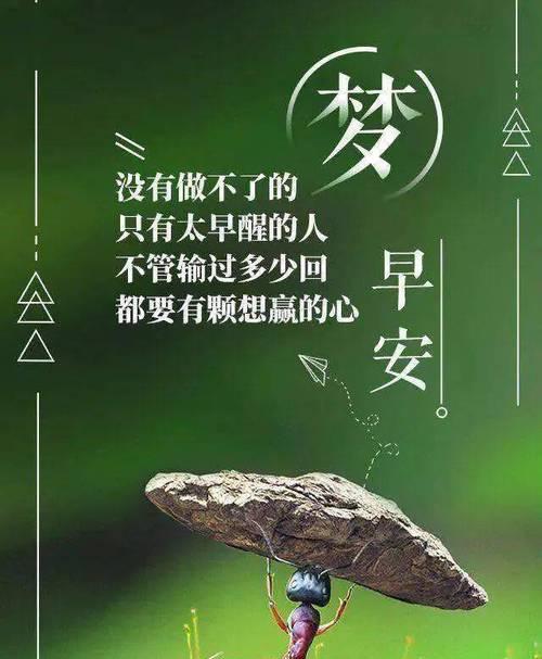 《奋斗无惧，幸运相伴》