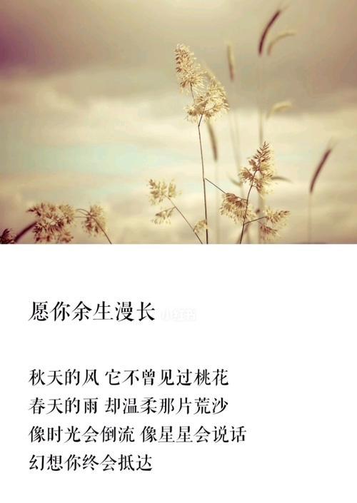 愿一切安好——温暖人心的祝福（一句话）