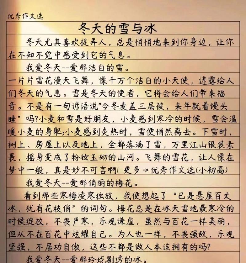 冬日的邂逅（一场温暖的偶遇）