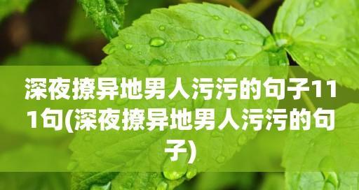 沉浸在美丽语言的海洋中（沉浸在美丽语言的海洋中）