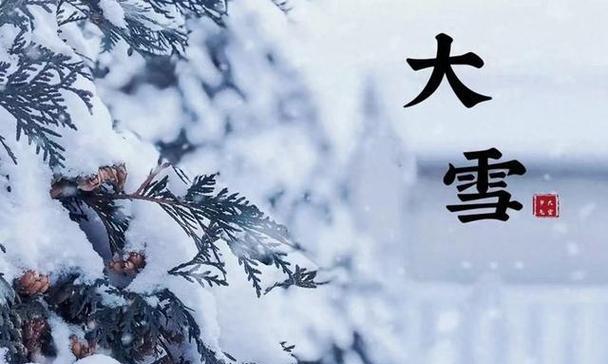 唯美纪念大雪节气的短句（用诗意赞美自然美景）