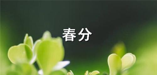 春天的回归，万物的复苏（春天的回归）