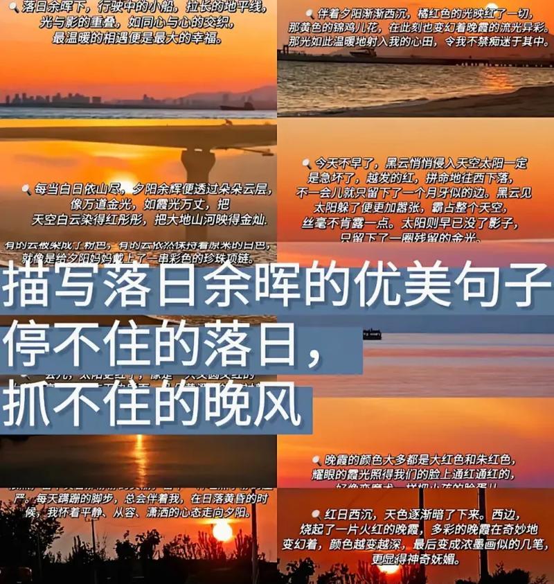 悦耳优美的句子（深夜读书）