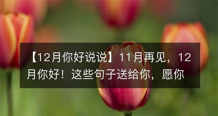 迎接12月，与美好共舞（冬日即将来临）