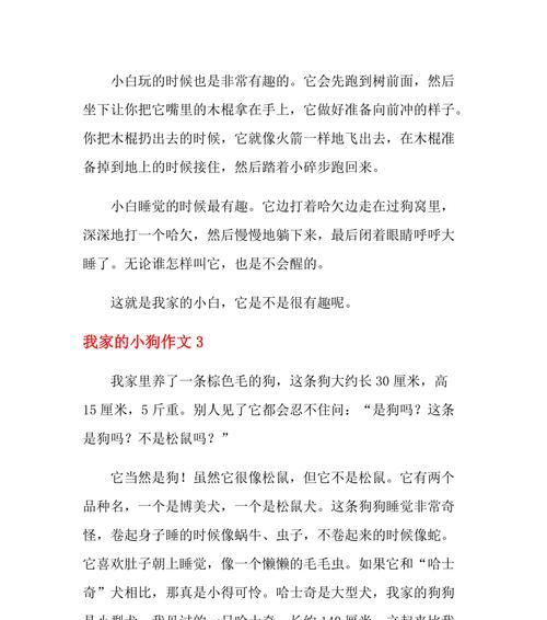 我家的小狗——一只温柔可爱的小柴犬