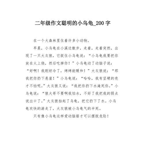 小乌龟的奇妙历程：勇敢的追梦者