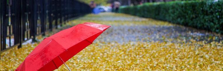 秋雨凉意，思念袭人（那一场雨）