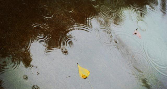 一场秋雨一场寒（季节变迁与生命意义）