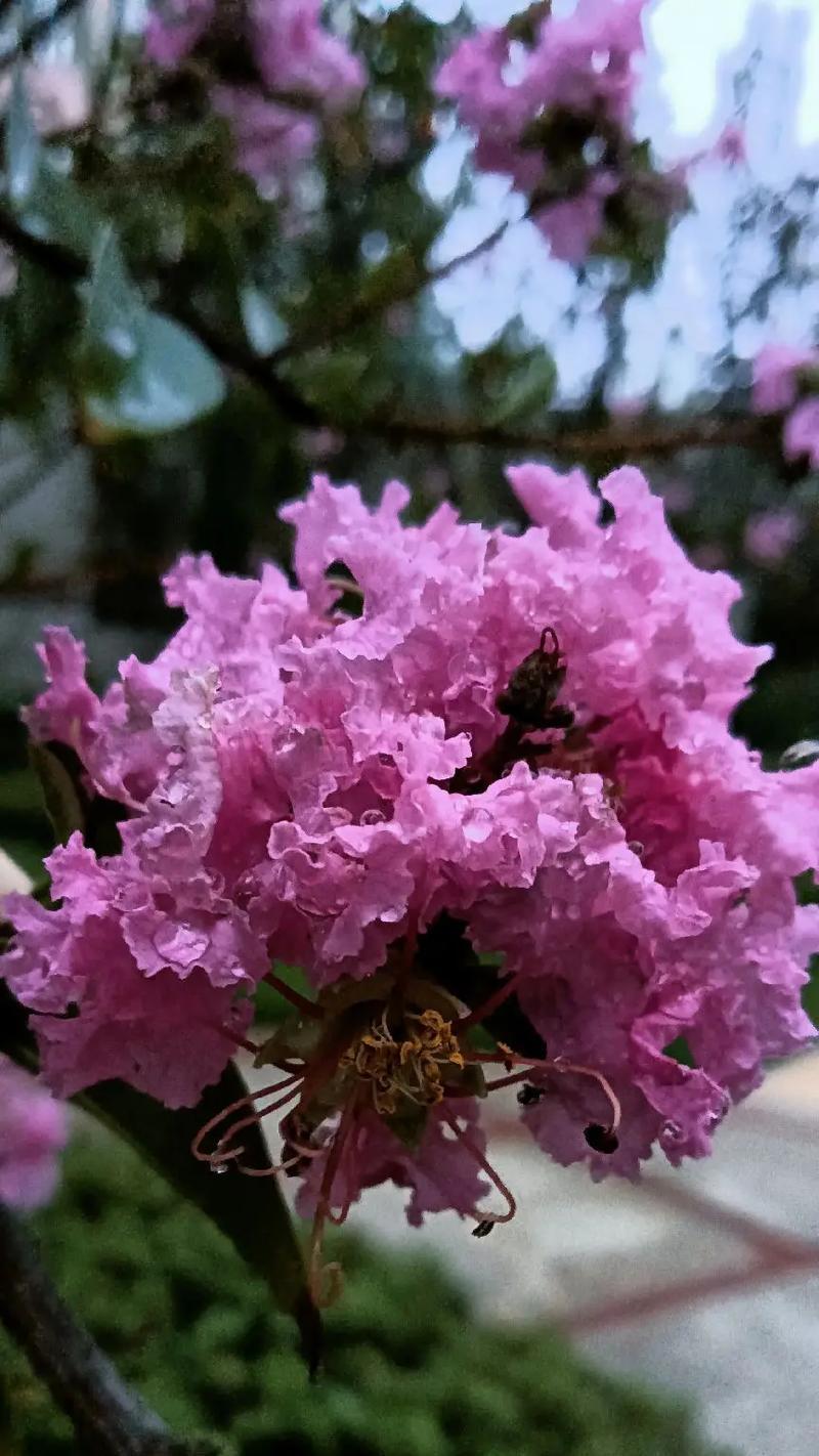 秋雨一场寒，唯美短句抒情（用25个段落）